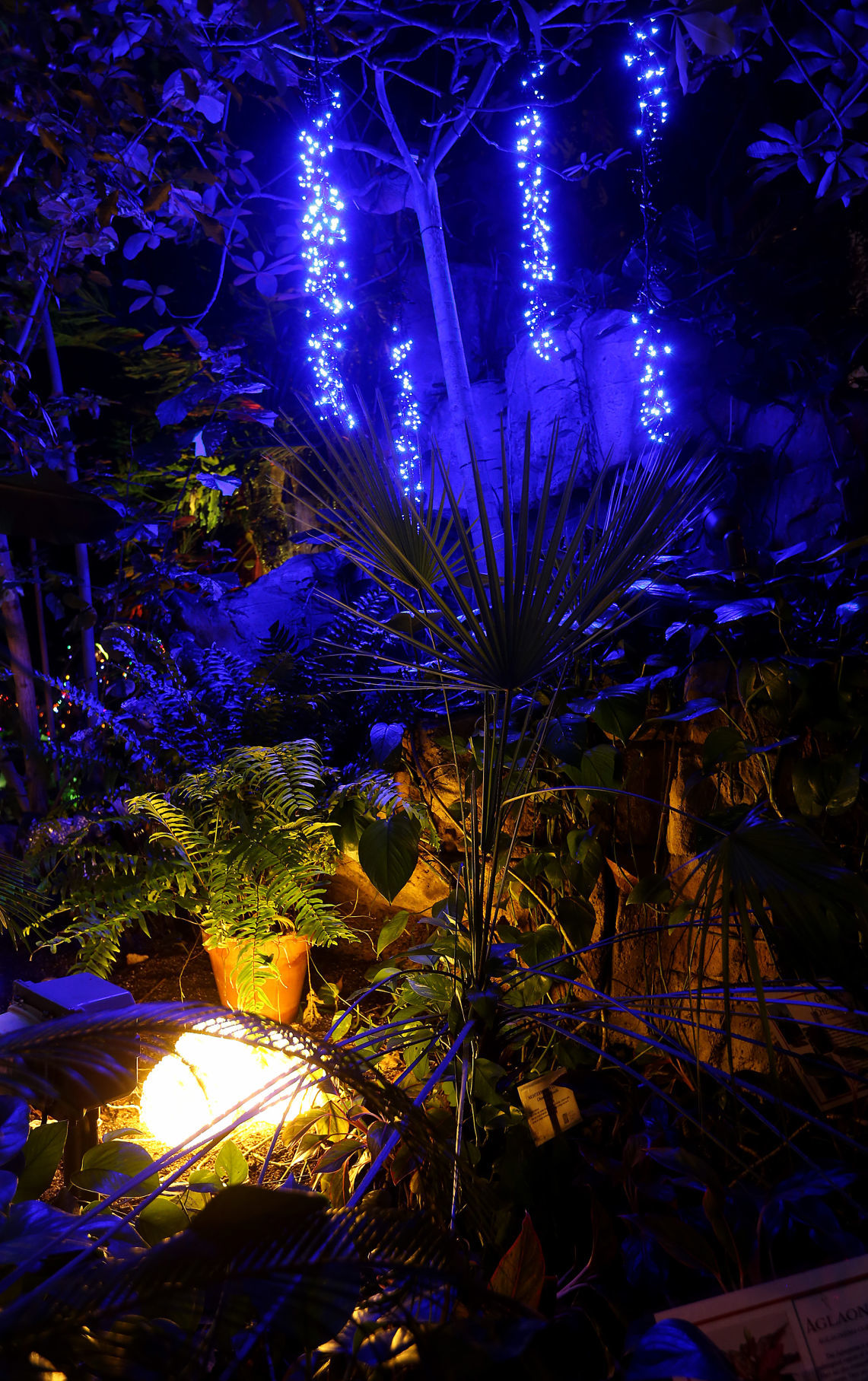 112718-botanical-lights-010